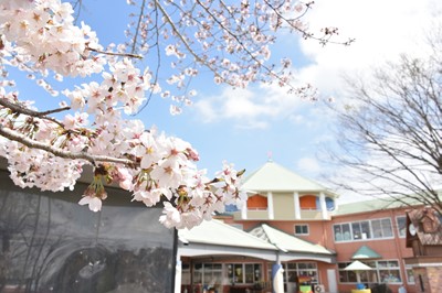 ピカピカの新入生　ー入園式ー