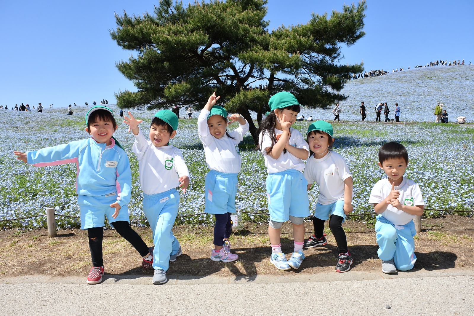 絶好の遠足日和（＊＾Ｏ＾＊）　ひたち海浜公園