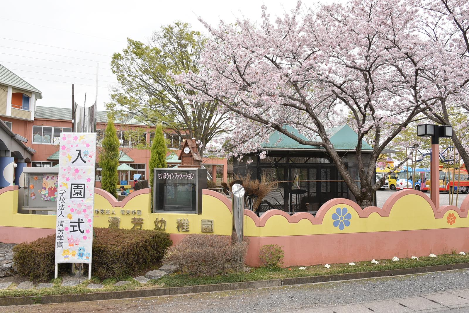 ピカピカの新入生　ｰご入園おめでとうございますｰ